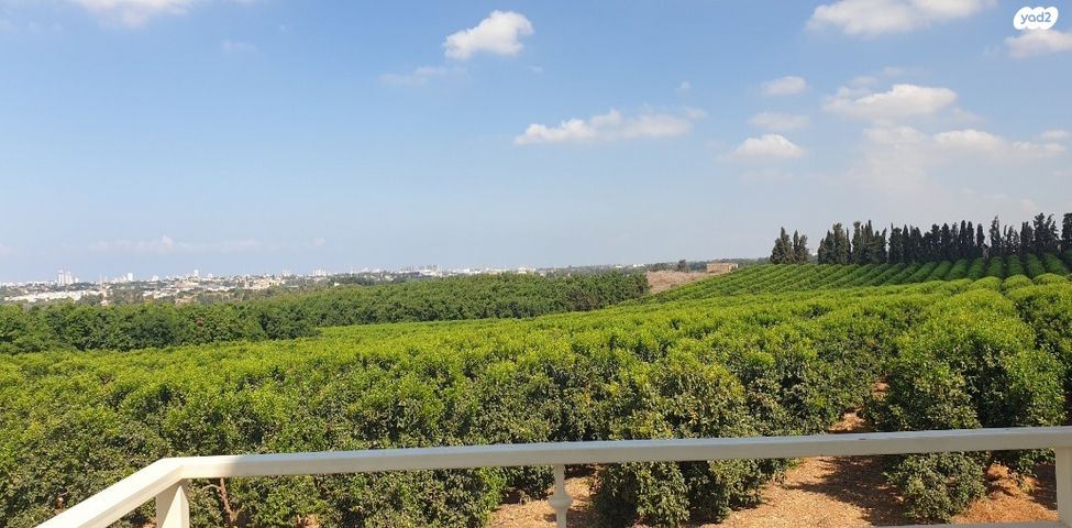 דירת גן