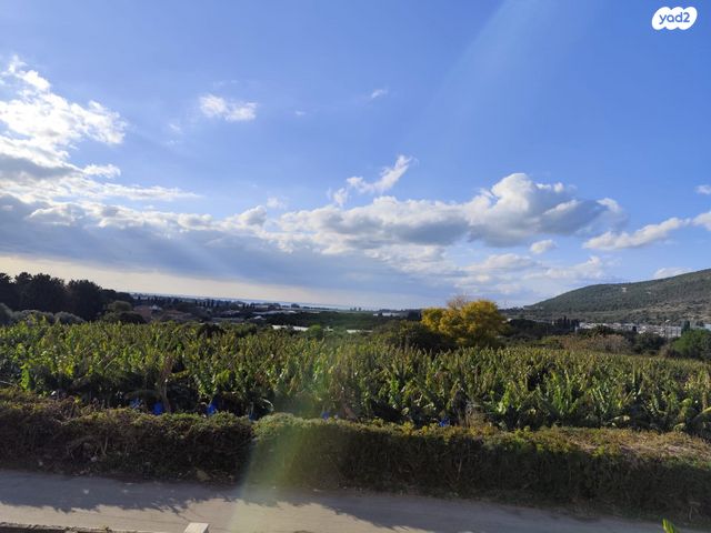 בית פרטי/ קוטג', הראשונים, שלומי