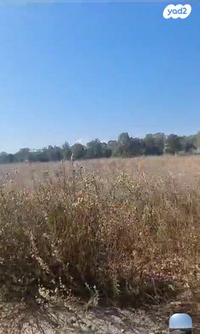 מגרשים, קצרין