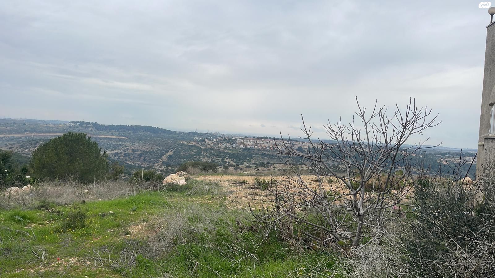 הכלנית 1