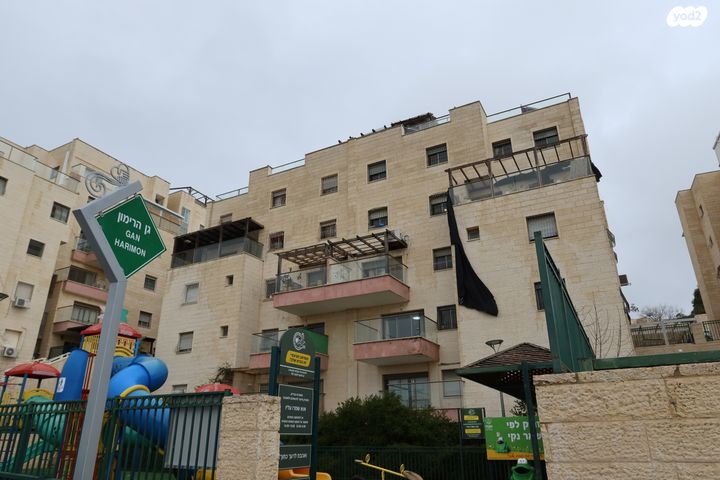 הרימון 3