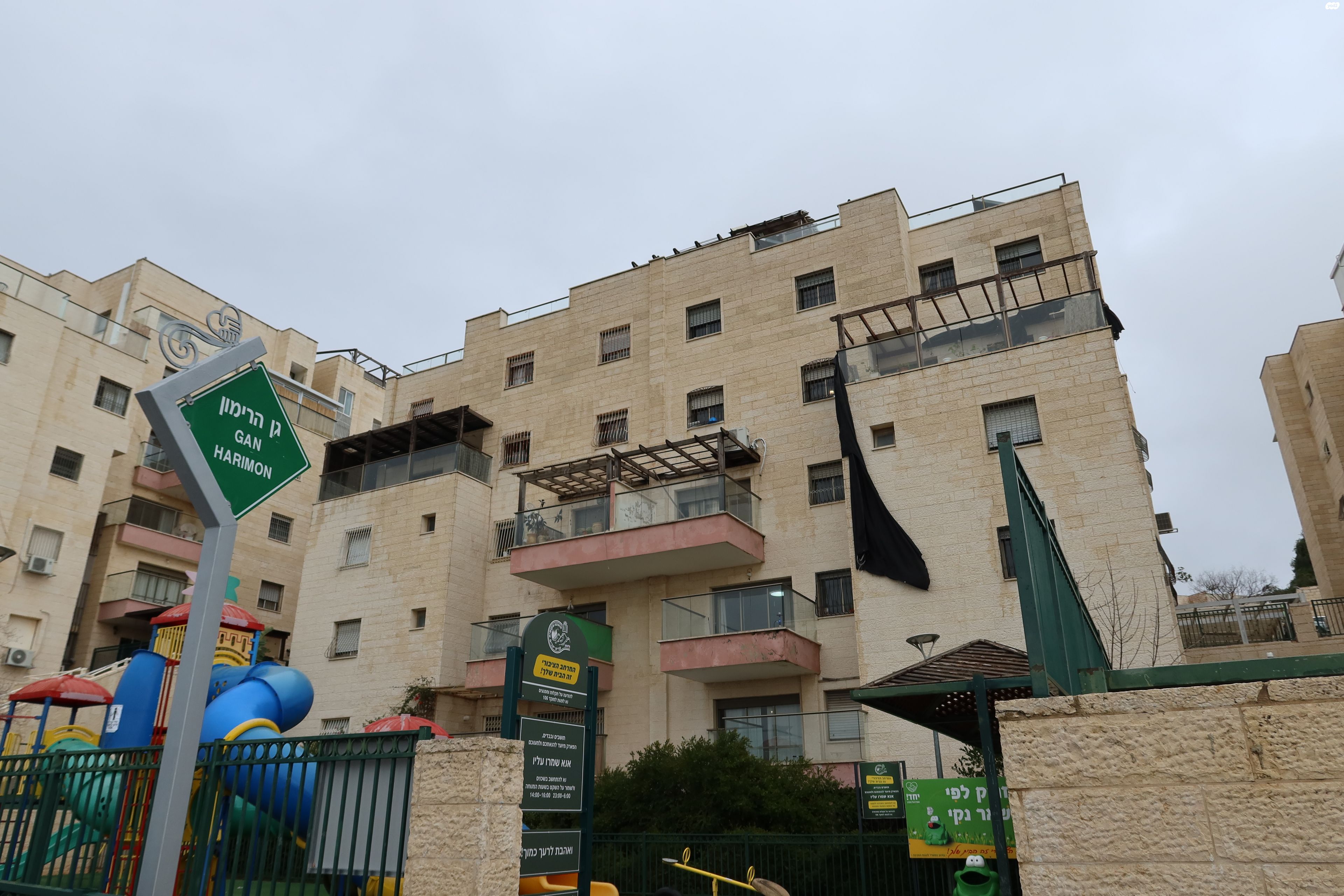 הרימון 3