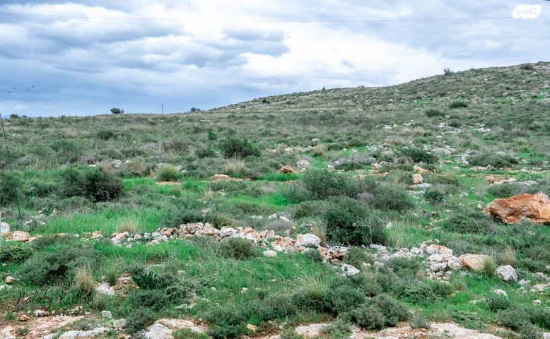 דירה, אליהו הנביא 58, פסגות אפק, ראש העין