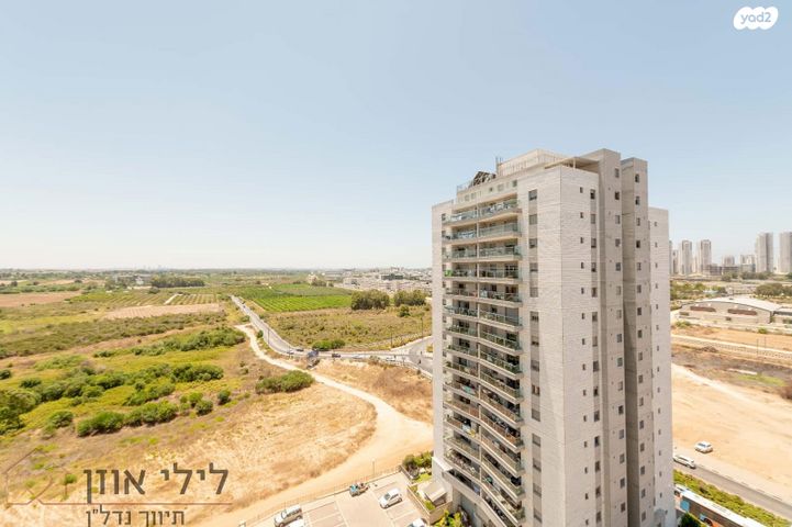 בני וו. רייך 4