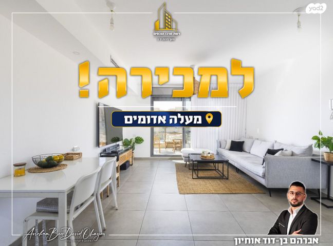 הענבר 