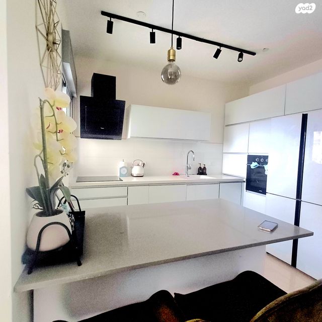 עמנואל זיסמן 