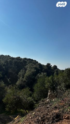 שבדיה 