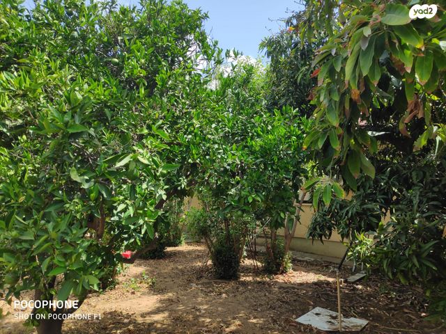 בית פרטי/ קוטג', קרית אונו