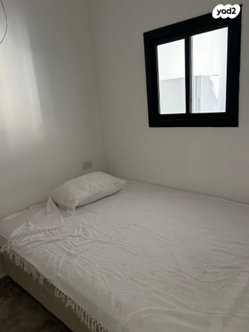 דירה, אשקלון