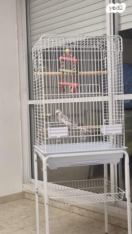 אביזרים | כלוב האכלת יד