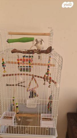 אביזרים | כלוב האכלת יד