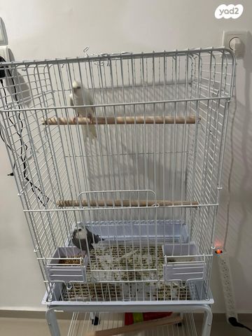 אביזרים | כלוב האכלת יד