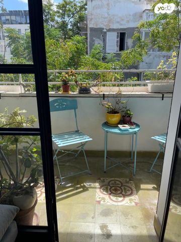 מקווה ישראל 