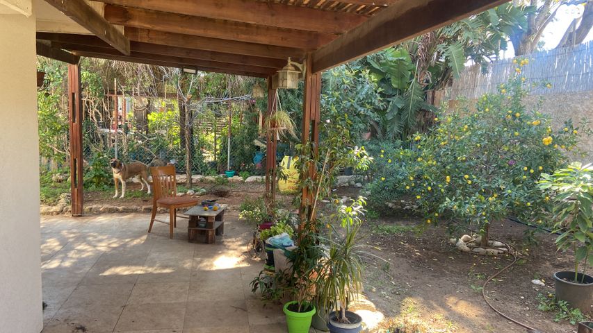 דו משפחתי, האלה, קציר