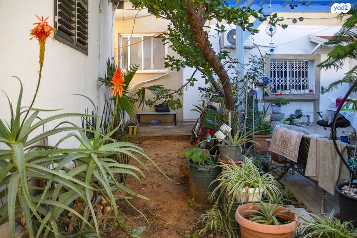 דירת גן, האמוראים 6, גבעת אולגה, חדרה