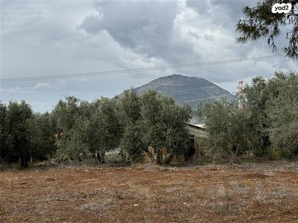 משק חקלאי/ נחלה