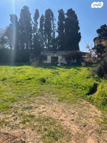 רבי עקיבא 11