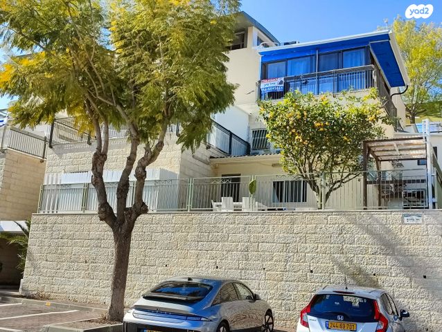 הארזים 