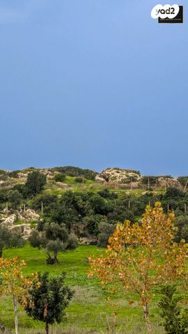 דו משפחתי, נחלים, עתלית