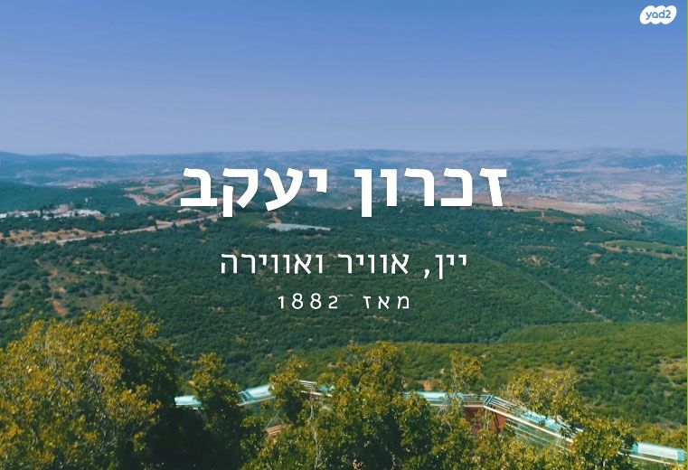 מגרשים
