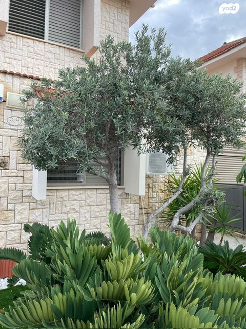 דו משפחתי, יהלום, מרכז המושבה, גן יבנה