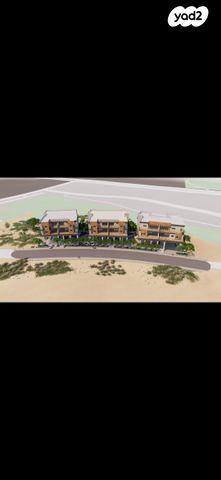 מגרשים, ערד