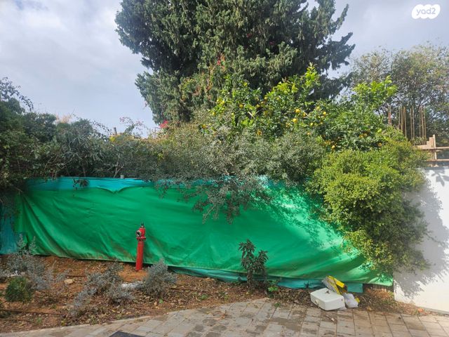 מגרשים, סמטת ניסנוב, הרצליה