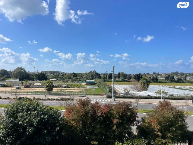 דליה רביקוביץ 