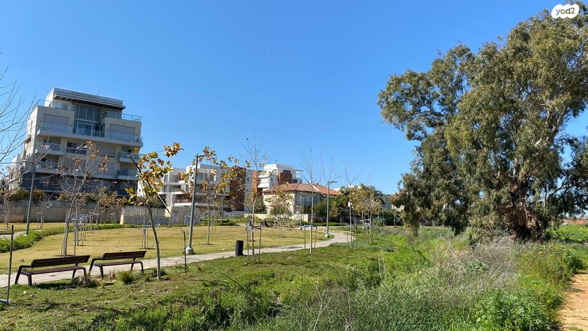 מתחם גרינברג