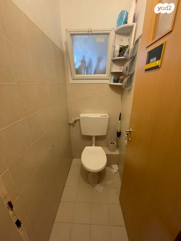 דירה, זית שמן, גבעת הזית, אפרת