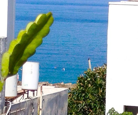 גג/ פנטהאוז למכירה בתל אביב יפו (תיווך) — 2