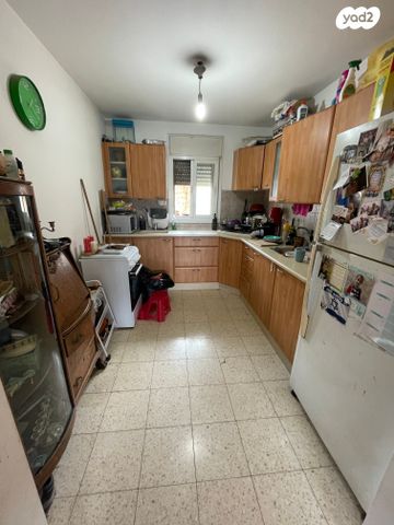 דירה, זית שמן, גבעת הזית, אפרת