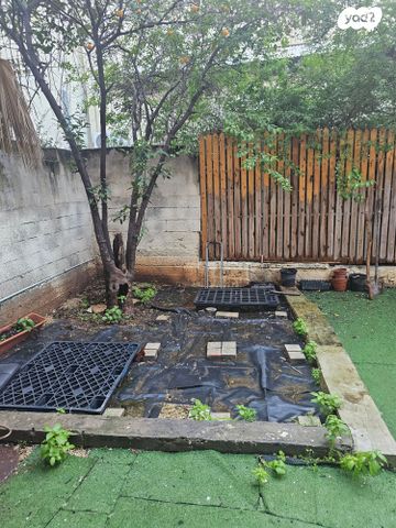 דירה, השומר, העיר התחתית, ואדי סאליב, חיפה