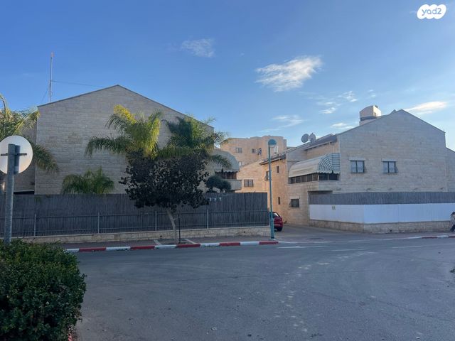 דב רונאל 