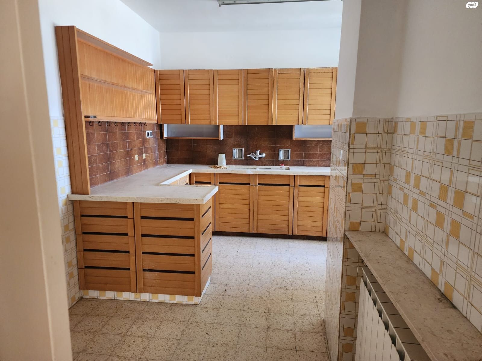 הארזים 
