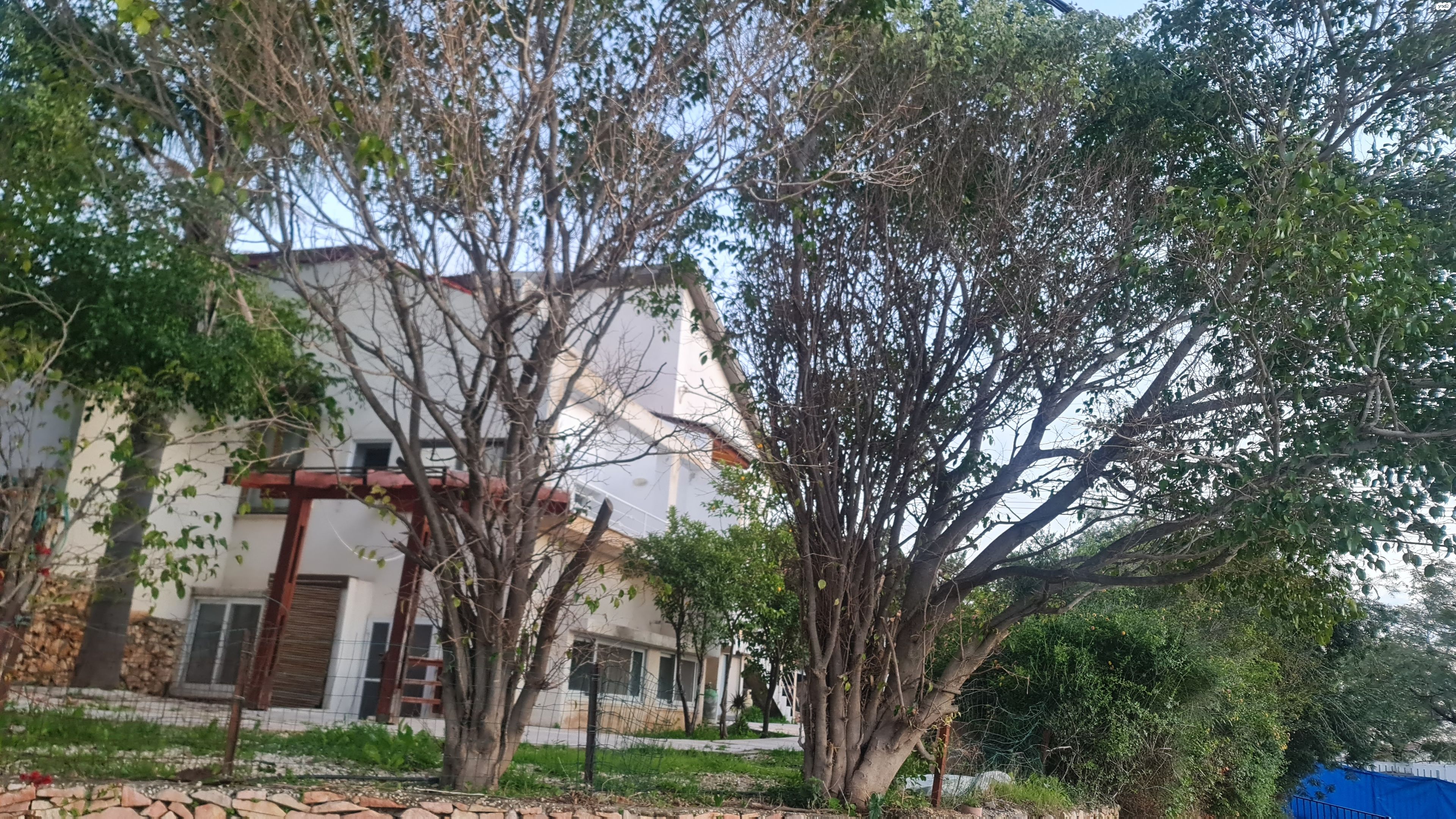 בית פרטי/ קוטג'