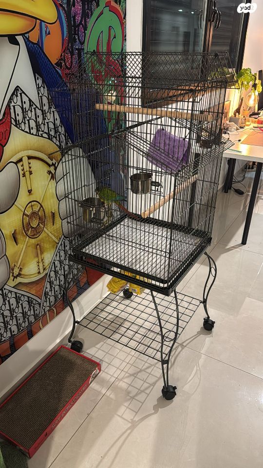 אביזרים | כלוב האכלת יד