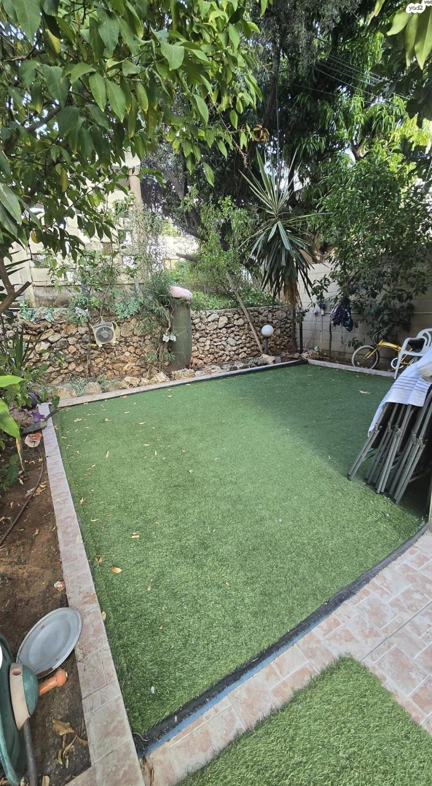 בילינסון 35