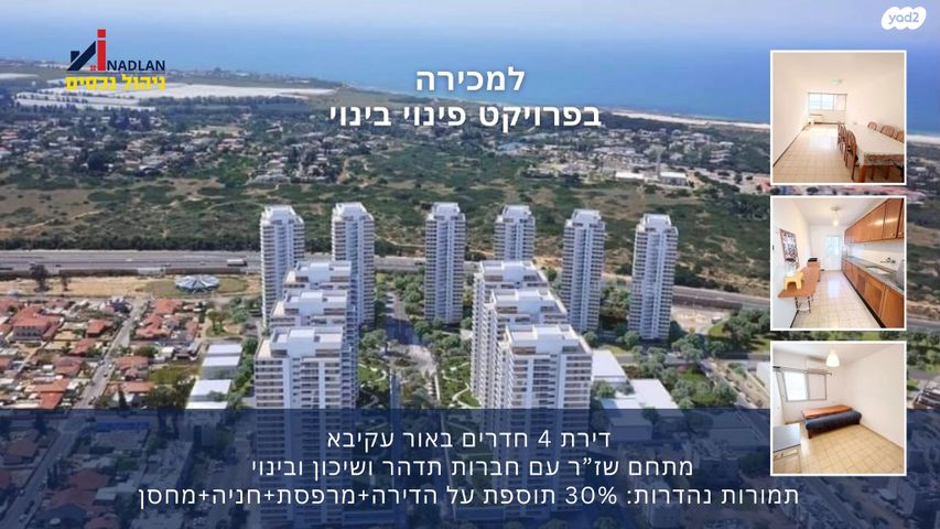 מנחם ציוני 805