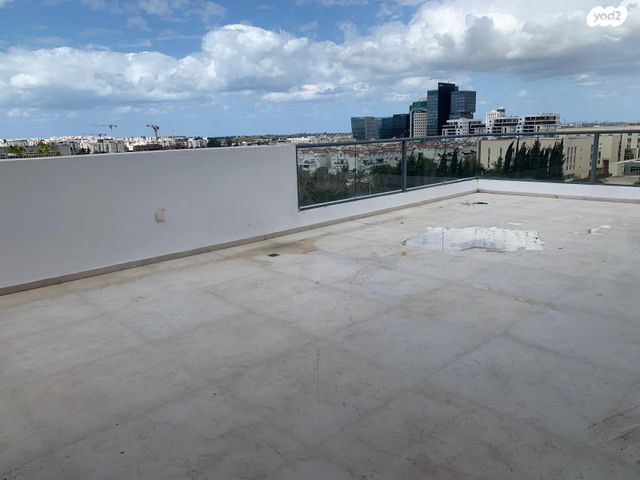 גג/ פנטהאוז, החורש 12, 2008, רעננה