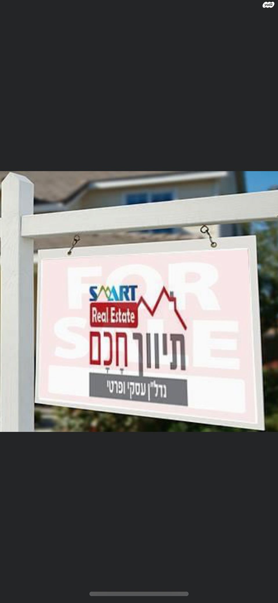 חרצית 26