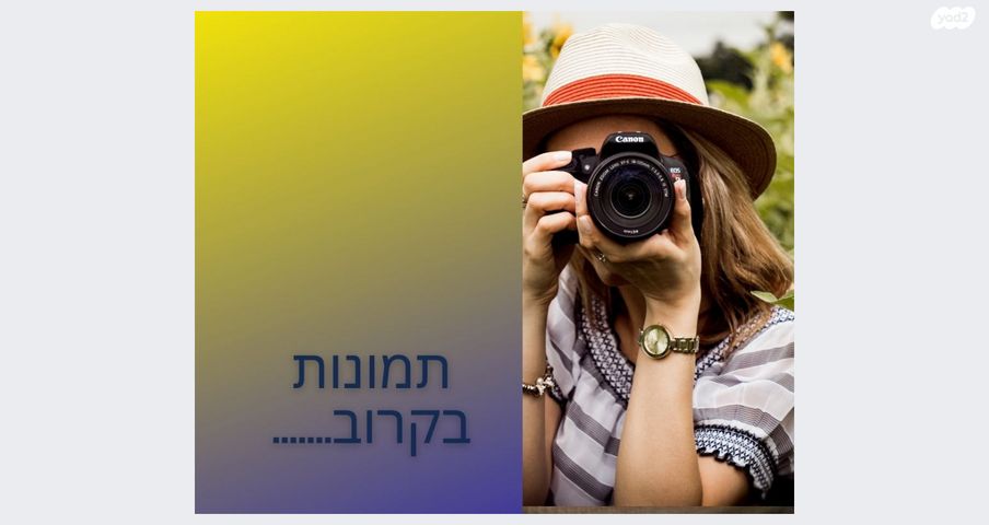 כוכב הצפון