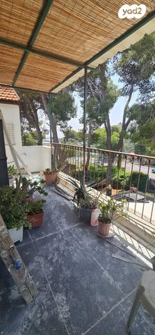 דירה, המתמיד, בן דור, נשר