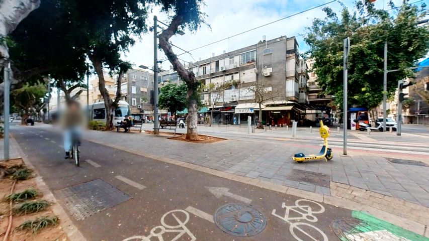 שבטי ישראל 
