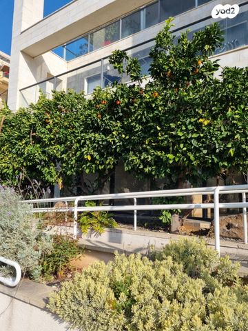 דירת גן, השייטת, הדרי סמל, נס ציונה