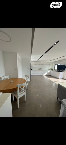 גג/ פנטהאוז, שדרות הרב משה שמואל שפירא 3, פארק המושבה, באר יעקב