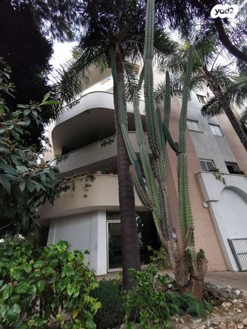 דירה, נורדאו, ראשונים, כפר סבא