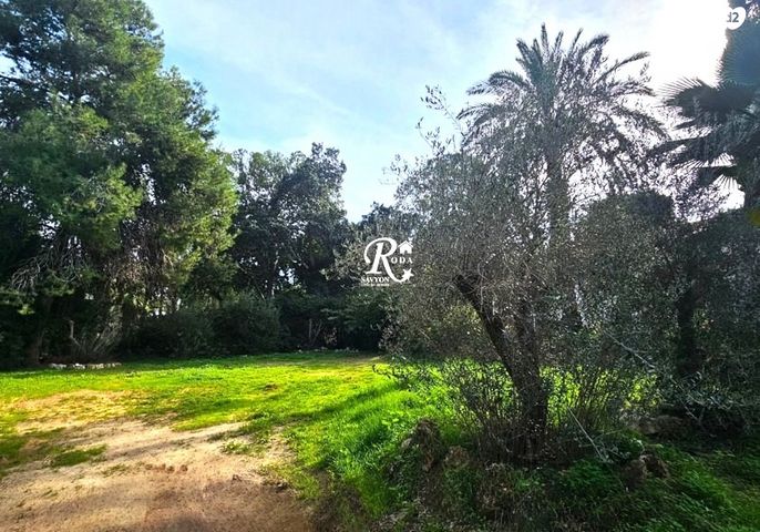 בית פרטי/ קוטג', סביון