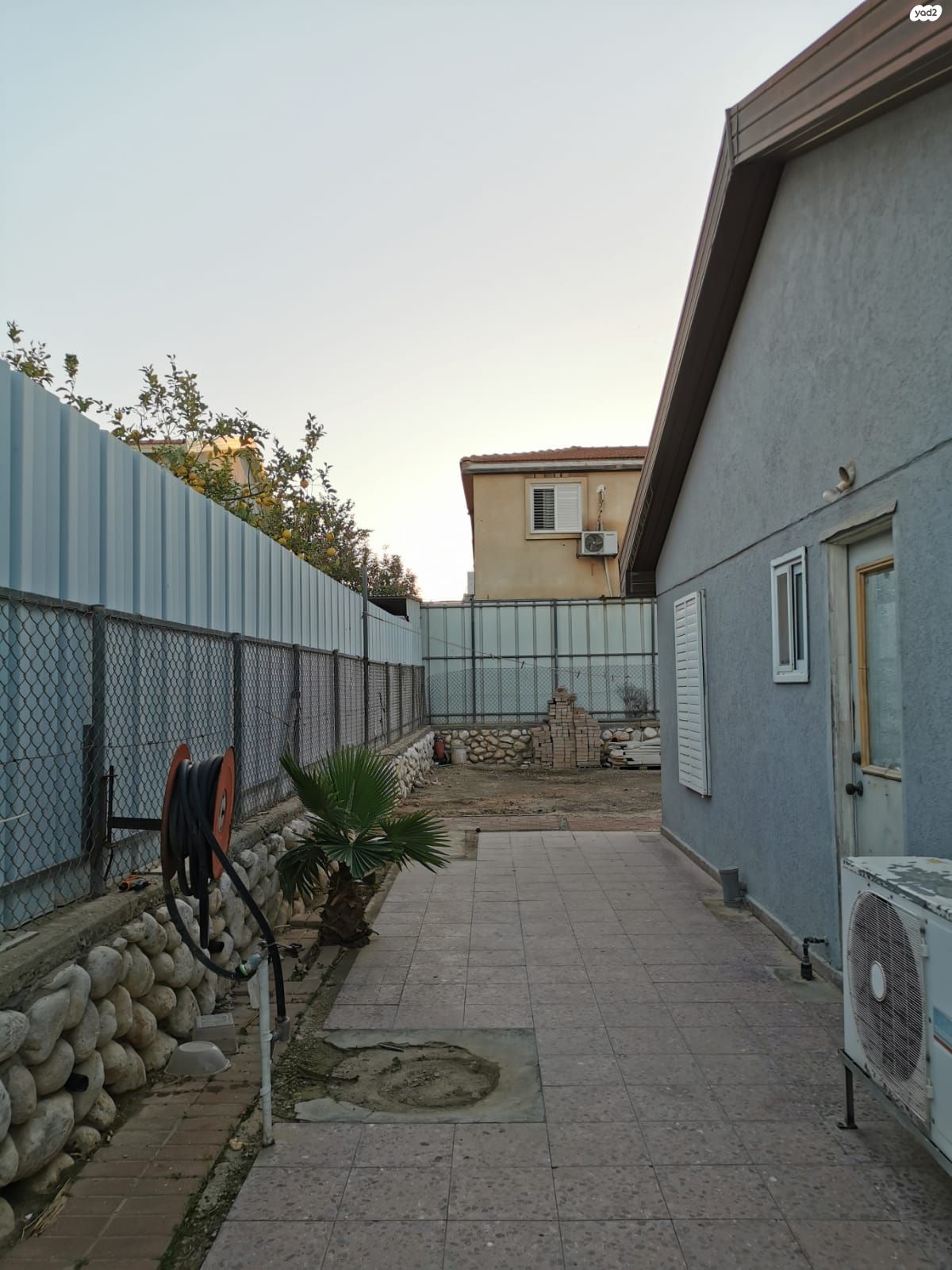 אנדה עמיר פינקרפלד 25