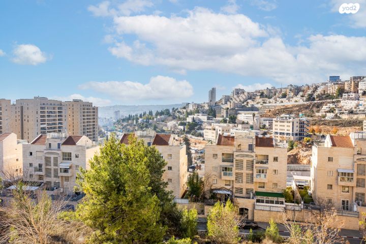 משה קול 